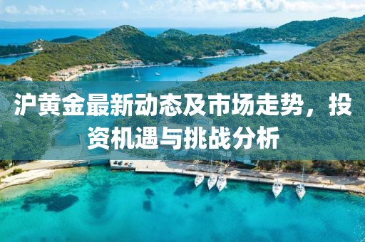 沪黄金最新动态及市场走势，投资机遇与挑战分析