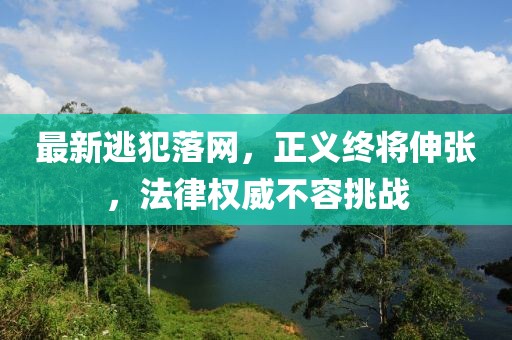 最新逃犯落网，正义终将伸张，法律权威不容挑战