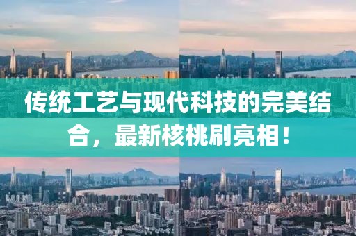 传统工艺与现代科技的完美结合，最新核桃刷亮相！