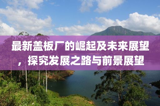 最新盖板厂的崛起及未来展望，探究发展之路与前景展望