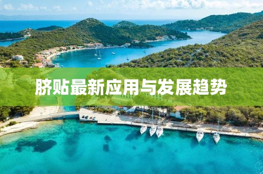 脐贴最新应用与发展趋势