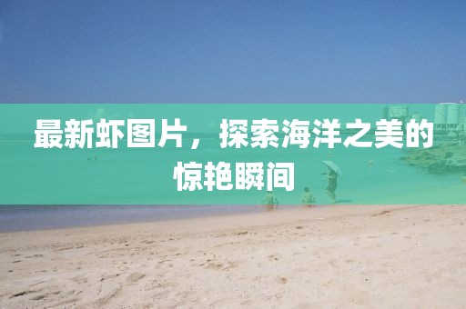 最新虾图片，探索海洋之美的惊艳瞬间
