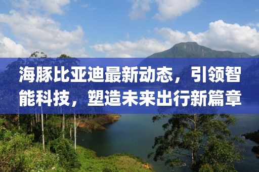 海豚比亚迪最新动态，引领智能科技，塑造未来出行新篇章
