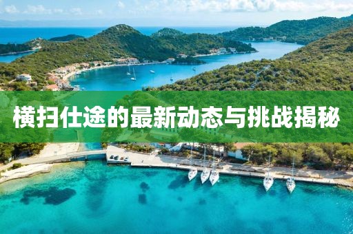 横扫仕途的最新动态与挑战揭秘
