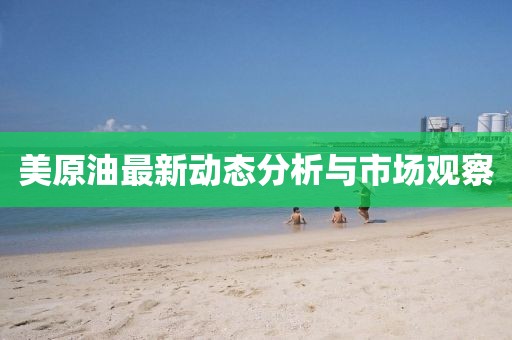 美原油最新动态分析与市场观察