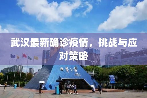 武汉最新确诊疫情，挑战与应对策略