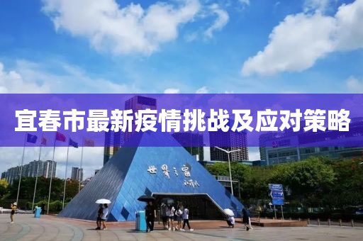 宜春市最新疫情挑战及应对策略