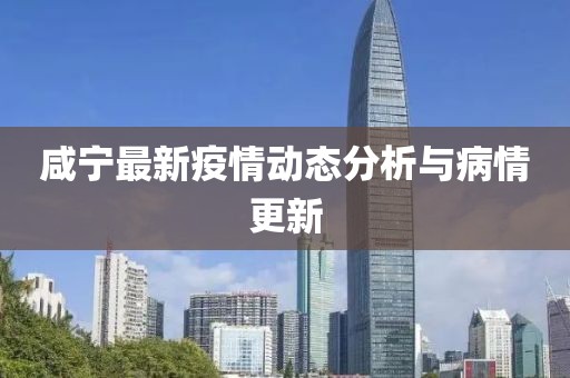 咸宁最新疫情动态分析与病情更新