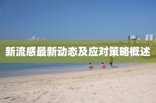 新流感最新动态及应对策略概述