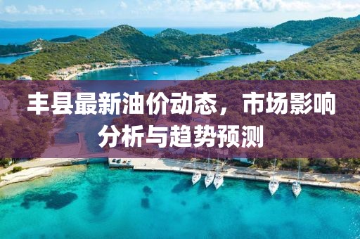 丰县最新油价动态，市场影响分析与趋势预测