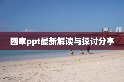 团章ppt最新解读与探讨分享