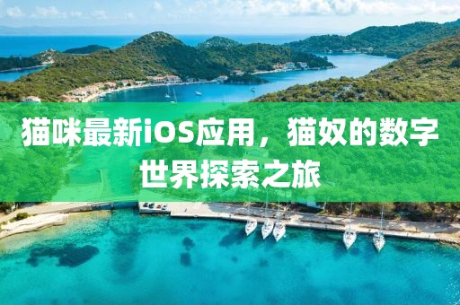 初告白 第9页