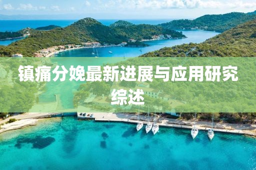 镇痛分娩最新进展与应用研究综述
