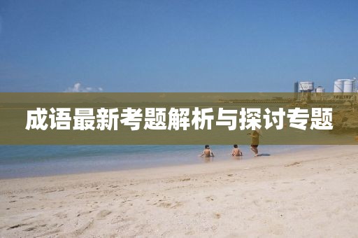 成语最新考题解析与探讨专题