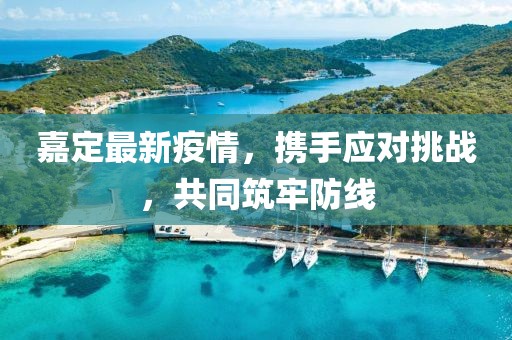 嘉定最新疫情，携手应对挑战，共同筑牢防线
