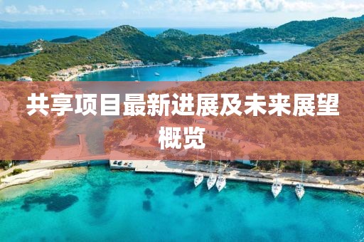 共享项目最新进展及未来展望概览