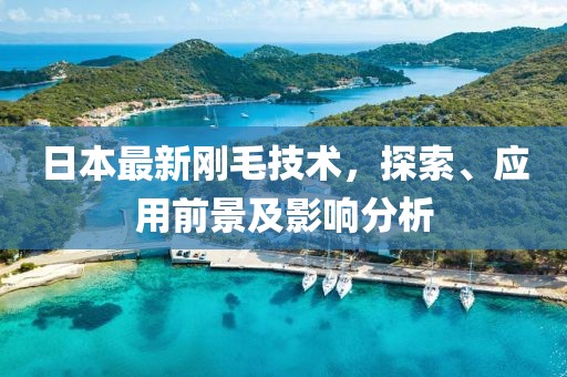 日本最新刚毛技术，探索、应用前景及影响分析