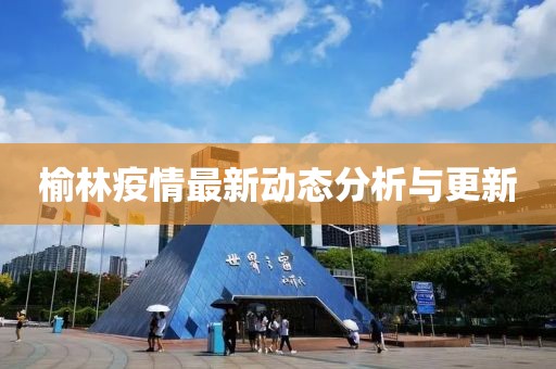 榆林疫情最新动态分析与更新