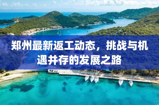 郑州最新返工动态，挑战与机遇并存的发展之路
