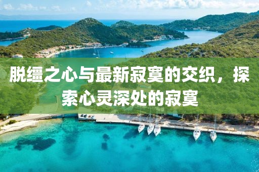 风轻扬 第10页