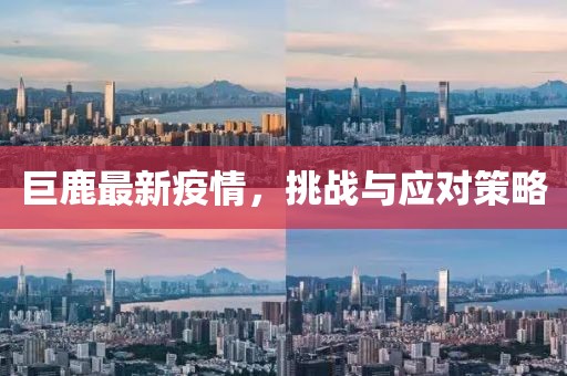 巨鹿最新疫情，挑战与应对策略