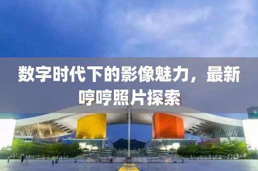 数字时代下的影像魅力，最新哼哼照片探索