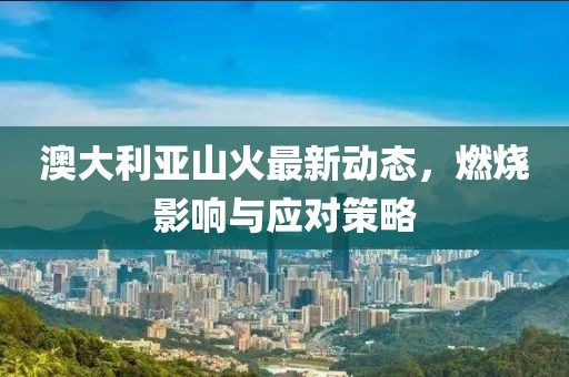 澳大利亚山火最新动态，燃烧影响与应对策略