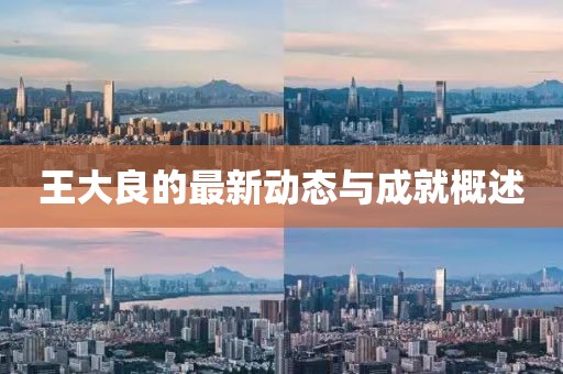 王大良的最新动态与成就概述