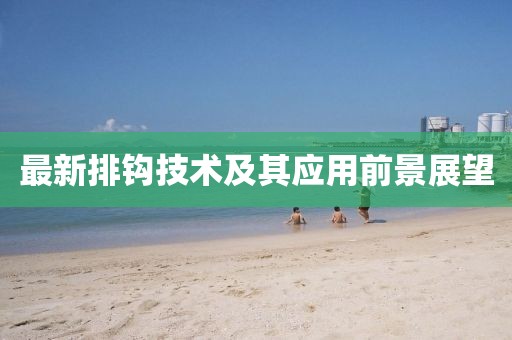 最新排钩技术及其应用前景展望