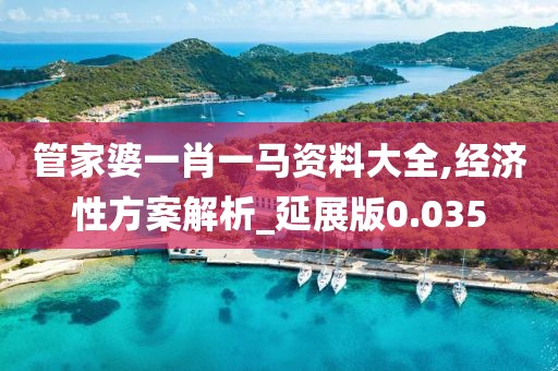 管家婆一肖一马资料大全,经济性方案解析_延展版0.035