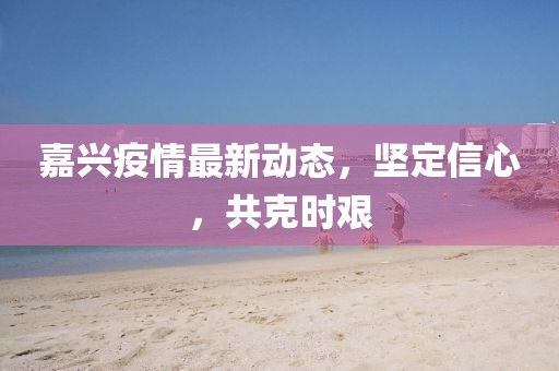 嘉兴疫情最新动态，坚定信心，共克时艰