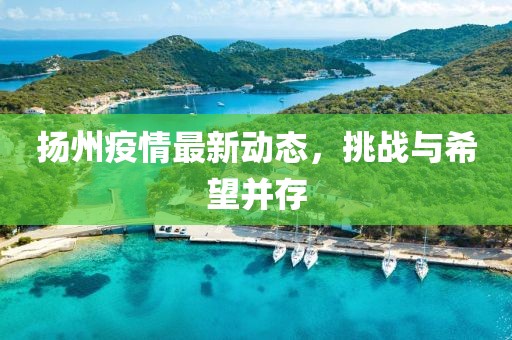 扬州疫情最新动态，挑战与希望并存
