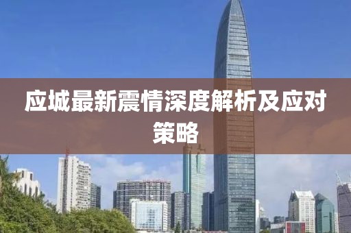应城最新震情深度解析及应对策略