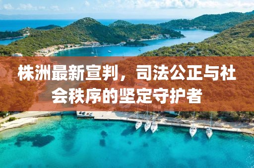 株洲最新宣判，司法公正与社会秩序的坚定守护者