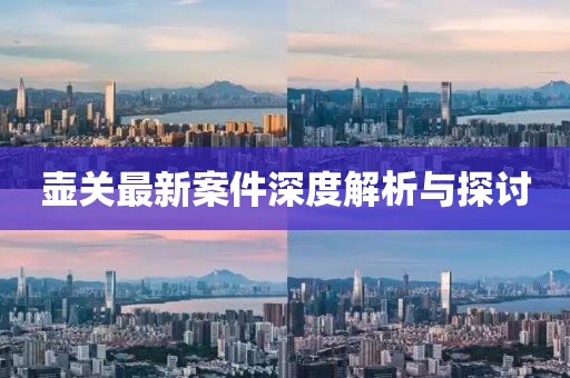 壶关最新案件深度解析与探讨