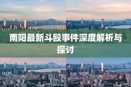 南阳最新斗殴事件深度解析与探讨