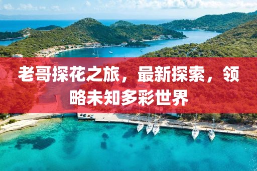 老哥探花之旅，最新探索，领略未知多彩世界