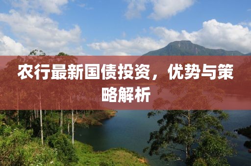 农行最新国债投资，优势与策略解析