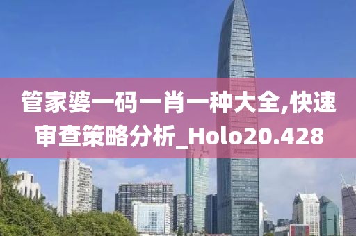 管家婆一码一肖一种大全,快速审查策略分析_Holo20.428