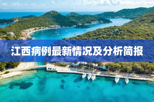 江西病例最新情况及分析简报