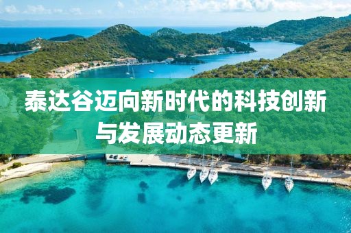泰达谷迈向新时代的科技创新与发展动态更新