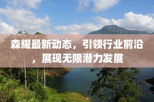 森耀最新动态，引领行业前沿，展现无限潜力发展