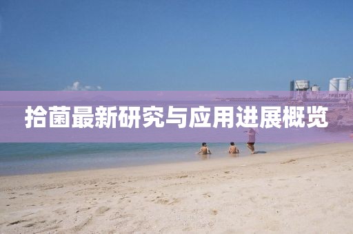 拾菌最新研究与应用进展概览