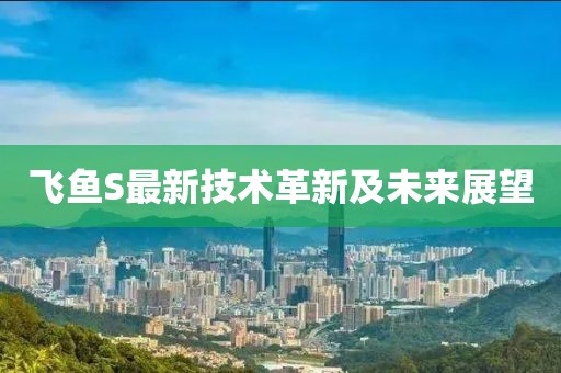 飞鱼S最新技术革新及未来展望