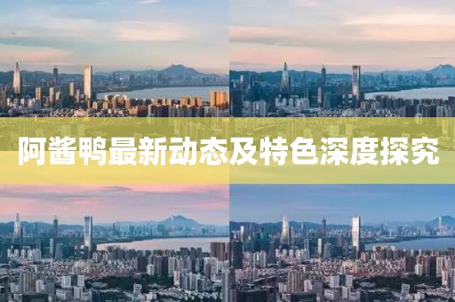 阿酱鸭最新动态及特色深度探究