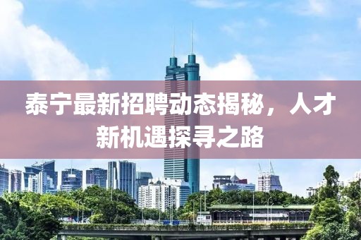 泰宁最新招聘动态揭秘，人才新机遇探寻之路