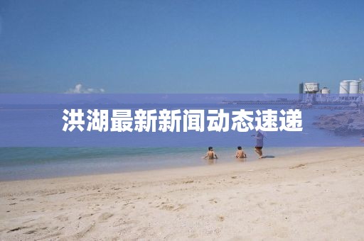 洪湖最新新闻动态速递
