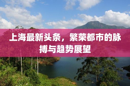 上海最新头条，繁荣都市的脉搏与趋势展望