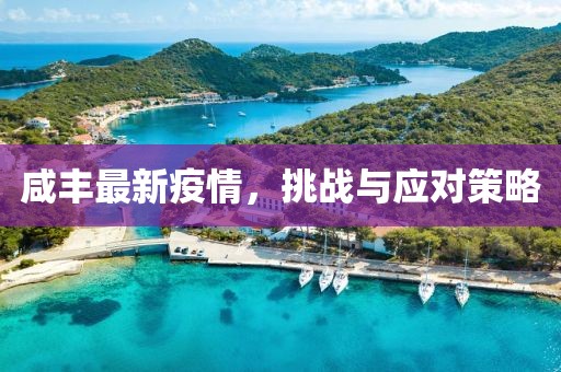 咸丰最新疫情，挑战与应对策略