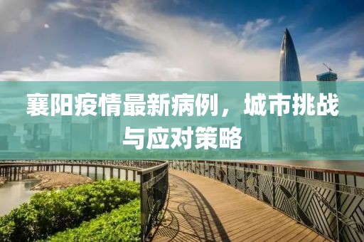 襄阳疫情最新病例，城市挑战与应对策略